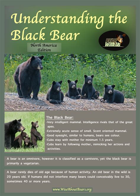 Facts At A Glance North American Black Bear Ursus Americanus Bear With Us