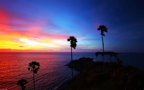 Island Sunset Palm Trees Landscape Sea Silhouette