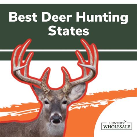 The 10 Best Deer Hunting States In America Hunters Wholesale