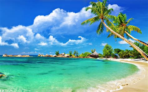 Download Wallpapers Tropical Island Beach Summer Palms Summer