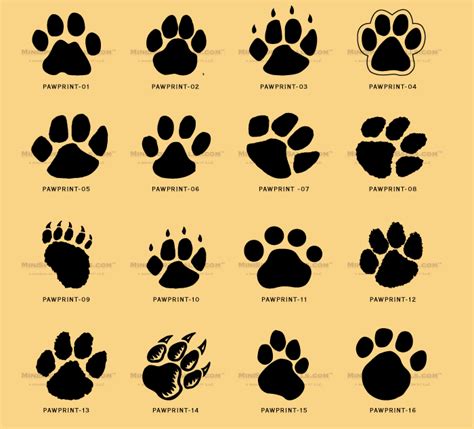 What do bears look like? Pin by Christina Spooner on Tattoos | Paw tattoo, Cat paw ...