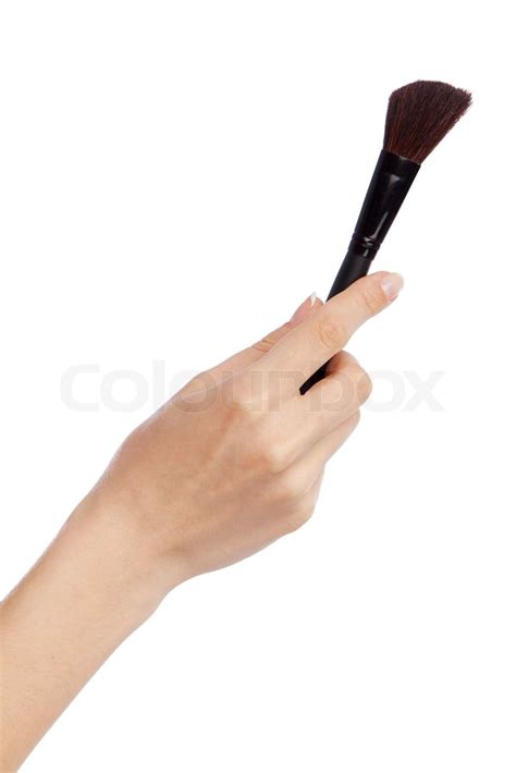 Female Hand Holding A Makeup Brush Stock Image Colourbox
