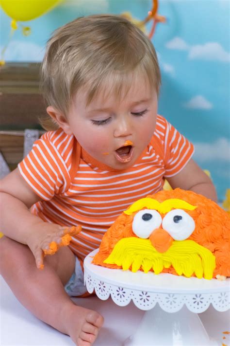 I will start the session with a mini portrait session where you are welcome to bring an outfit of your choice for your birthday baby. Lorax cake smash photography | Lorax birthday, The lorax ...