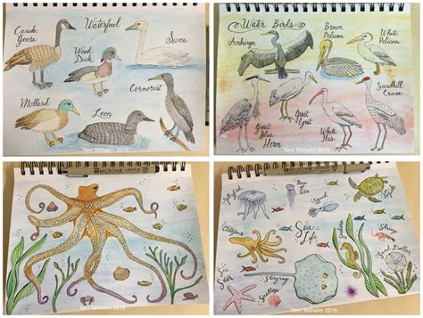 Animal Art Series Weeks 1 16 Terris Notebook