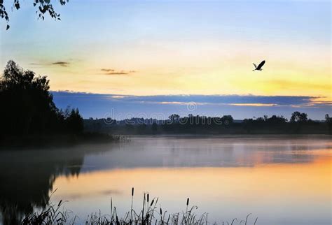 The Morning Landscape With Sunrise Over Water In The Fog Stock Image