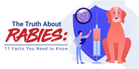 The Truth About Rabies 11 Facts You Need To Know Blogs Makati Medical Center