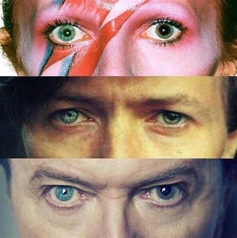 Pin By Annie On My Music Bowie Eyes David Bowie Bowie