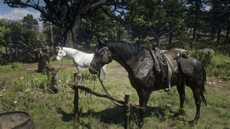 Chapter 2 Save File With Pre Order Horse And Special Edition Horse