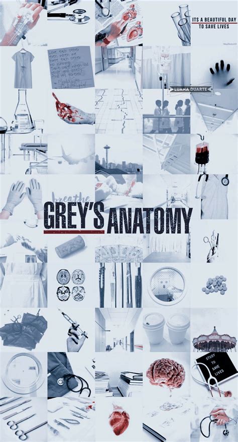 Download Greys Anatomy Aesthetic Poster Wallpaper