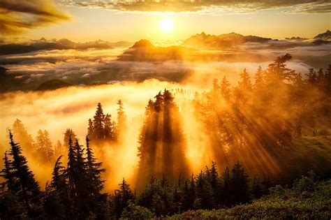 Landscape Sun Rays Forest Mountain Clouds Wallpapers