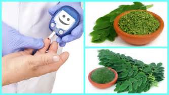 When we ask where to buy moringa there are so many ways. How can i use Moringa to Cure Diabetes - YouTube