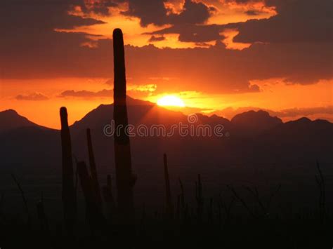Half Sun Disk With Rays Stock Image Image Of Curve Cacti 1018669