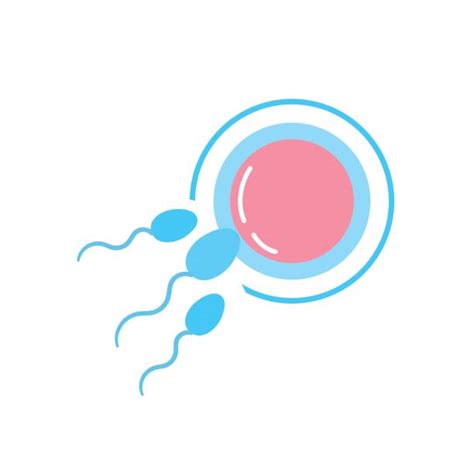 Best Infertility Illustrations Royalty Free Vector Graphics And Clip Art