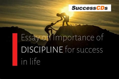 Importance Of Discipline Essay Telegraph