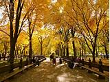 Central Park Photo Spots Images