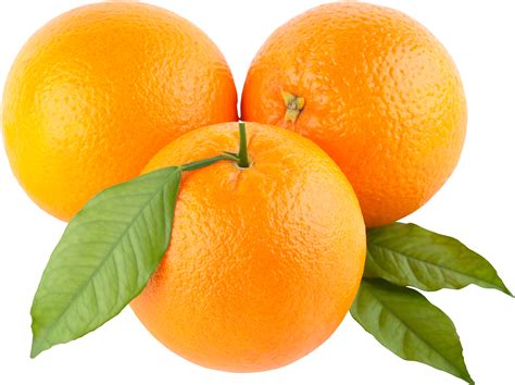 Download Oranges Png Image For Free
