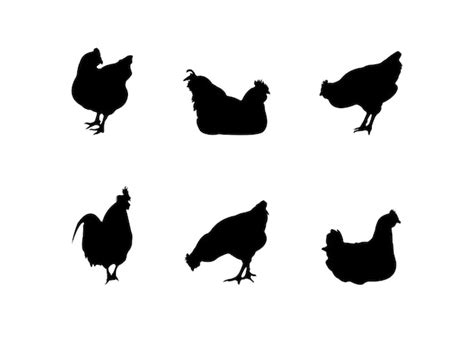 premium vector collection of black silhouettes chickens
