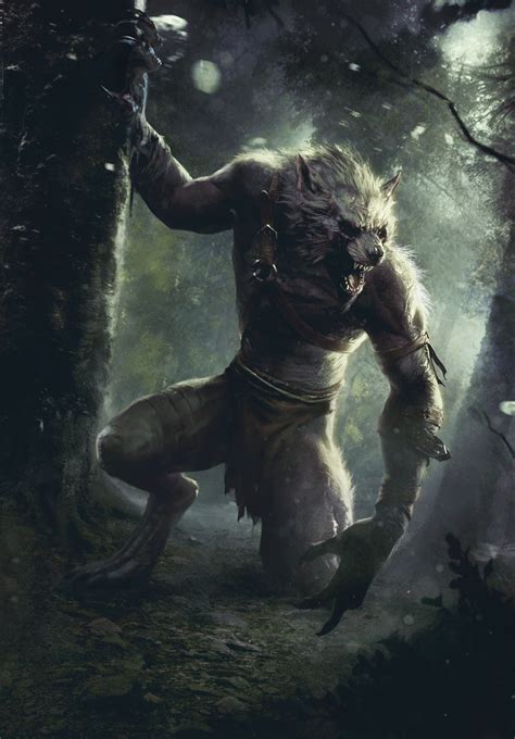 Werewolf Witcher Wiki Fandom