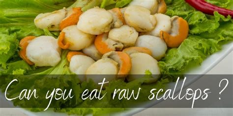 Can You Eat Raw Scallops Heres What All The Fuss Is About Foodiosity