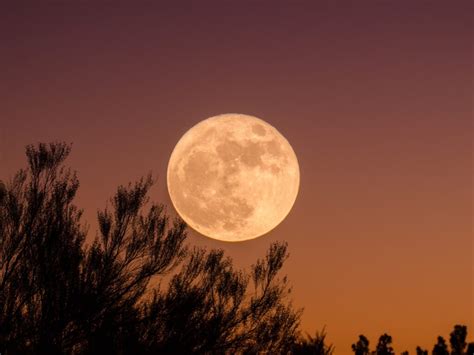 Edt (11:14 utc), but the moon will appear full the night before and after its peak to the casual stargazer. All the Full Moon Dates in 2021 for your calendar | The ...