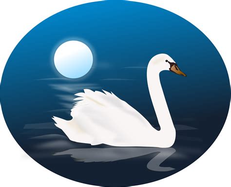 Clipart Swan