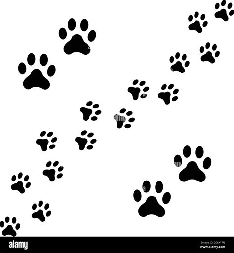 Black Footpath Trail Of Dog Prints Walking Randomly Animal Footprints