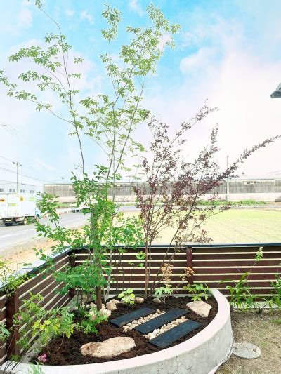 コナー花壇を土壌改良しアオダモをメインにした雑木の坪庭（岡山市中区） | 庭.pro（ニワドットプロ）