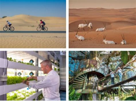 Dubai Sustainable Tourism Celebrates 50 Eco Friendly Initiatives On