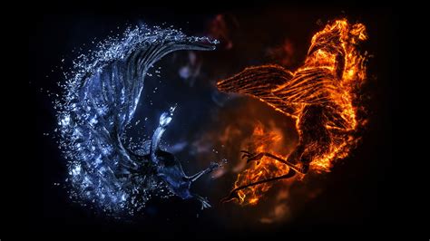 Wallpaper Digital Art Birds Night Ice Fire Flame Darkness