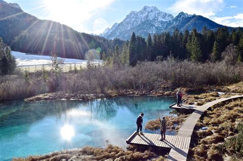 Have You Heard Of Zelenci In Slovenia Travel Blog