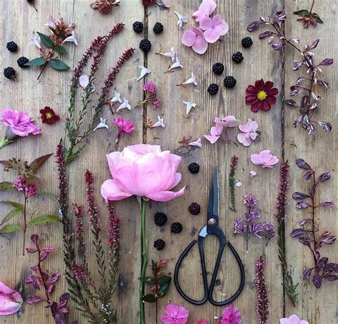 Pin By Katya Khazan On Flowered Flowers