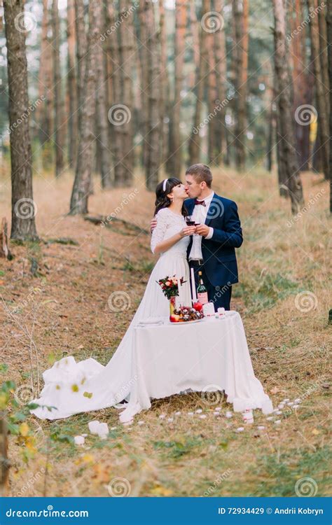 Romantic Autumn Pine Forest Picknick Of Happy Newlywed Pair Stock Image