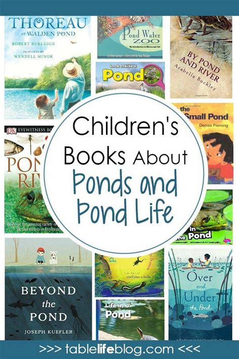 What To Read Childrens Books About Pond Life Pond Life Pond Life