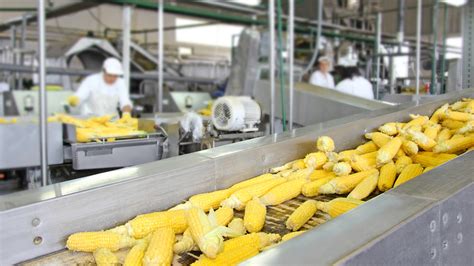 Dirty Secrets Of The Food Processing Industry Food Matters®