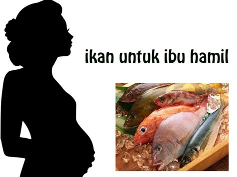 √ 5 Jenis Ikan Indonesia Yang Baik Di Konsumsi Ibu Hamil Nada 313