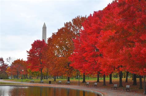 Autumn In Washington Dc Best Places To Travel Best Weekend Getaways National Mall Washington Dc