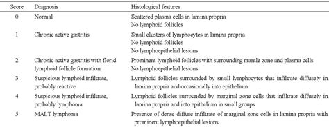 Table 1 From Pathophysiology Of Gastric Malt Lymphoma Semantic Scholar