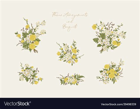 Set With Flower Bouquets Royalty Free Vector Image