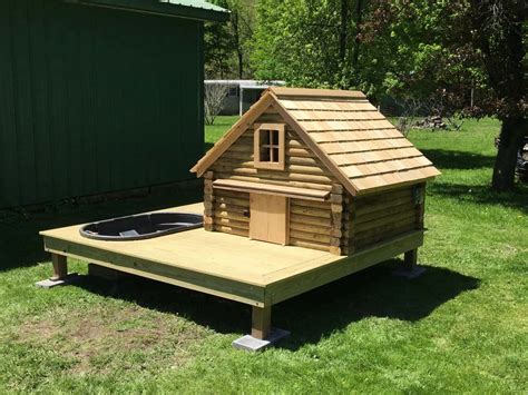 Duck Coops 15 Tips To Design The Perfect Coop For Your Ducks