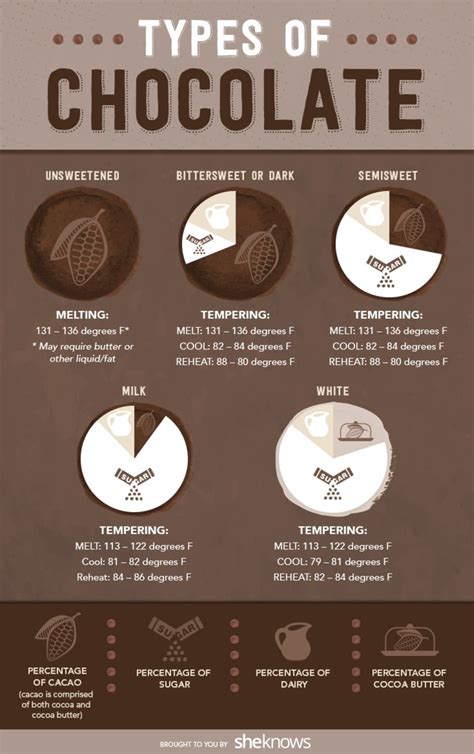 14 Types Of Chocolate 32 Chocolate Lovers Infographics