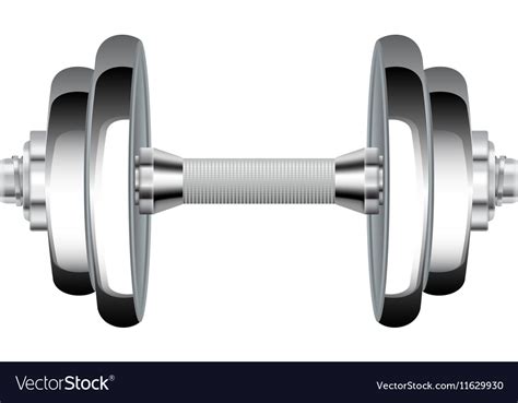 Metal Dumbbells Chrome Weights Royalty Free Vector Image
