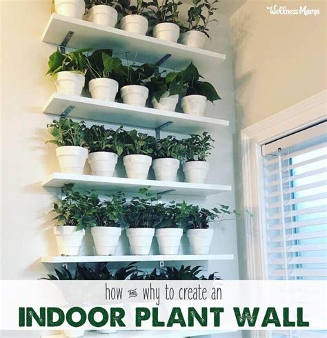 How To Create A Diy Plant Wall In Your Home Wellness Mama