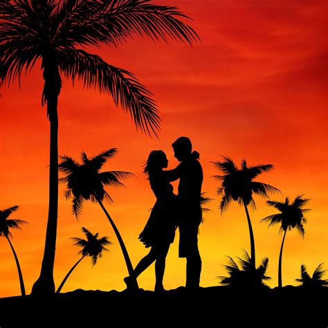 Couple 4k Wallpaper Palm Trees Orange Sky Sunset