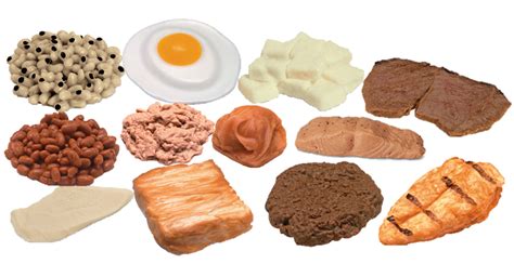 Protein is a macronutrient necessary for the proper growth and function of the human body. Protein Foods Model Kit