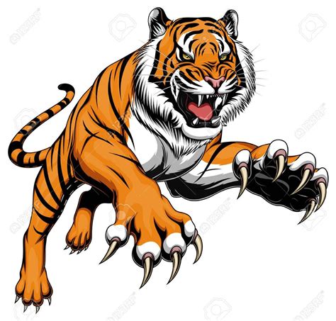 Tigre Png Pesquisa Google Tiger Illustration Tiger Vector Tiger