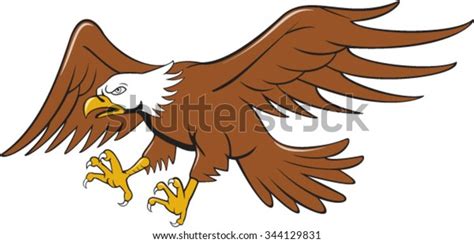 Illustration American Bald Eagle Swooping Flying Vector De Stock