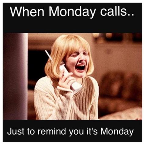 Hilarious Monday Memes To Get You Through The Week Lola Lambchops