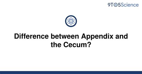Solved Difference Between Appendix And The Cecum 9to5science