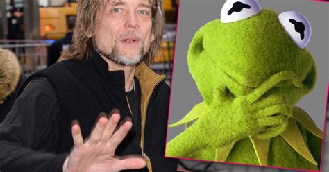 Kermit The Frog Puppeteer Steve Whitmire Fired For Unacceptable Conduct