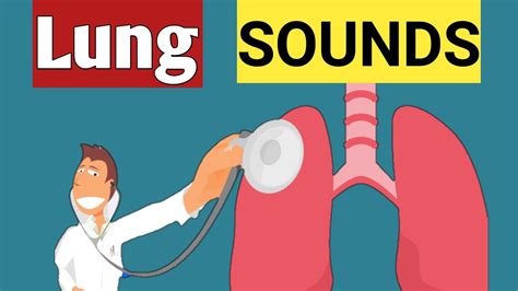 Breath Sound Or Lung Sound Abnormal Lung Sound Lets Hear It Youtube